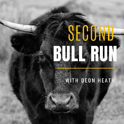 Crypto's Second Bull Run
