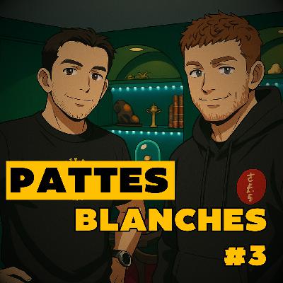 La fin de Pattes Blanches ? Ce que personne ne vous dit sur le passage à la ceinture bleue !