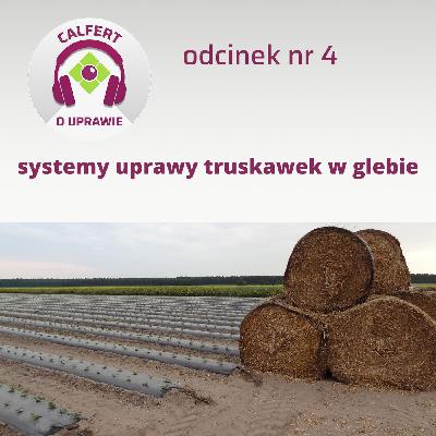 4. Jaki system glebowej uprawy truskawek wybrać, podczas zakładania nowej plantacji?