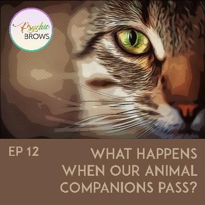 What happens when our animal companions pass?