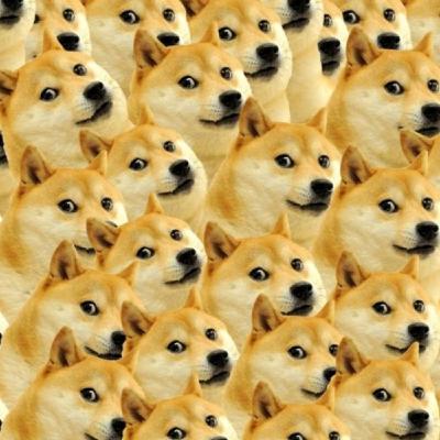 1, 2, 3 por la Ciencia - ¿Por qué nos gustan tanto los memes?