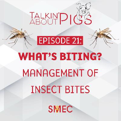 What's biting? Management of Insect Bites