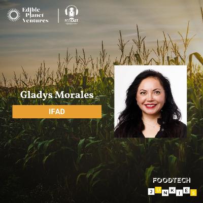 Seeds of Change: How IFAD's Innovations Are Cultivating Global Futures Seeds of Change: How IFAD's Innovations Are Cultivating Global Futures