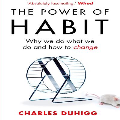 The Power of Habit Hindi Audiobook