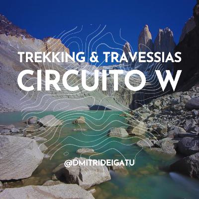 Circuito W - Guia completo