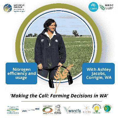 Making the Call, Farming Decisions in WA series: CFIG chat Nitrogen decisions and playing the season for the best economic output Making the Call, Farming Decisions in WA series: CFIG chat Nitrogen decisions and playing the season for the best economic output
