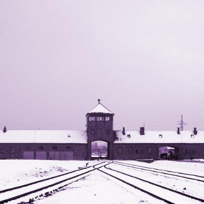 The Nazi Experiment, Vol. 9: The Centrality of the Jewish Question The Nazi Experiment, Vol. 9: The Centrality of the Jewish Question