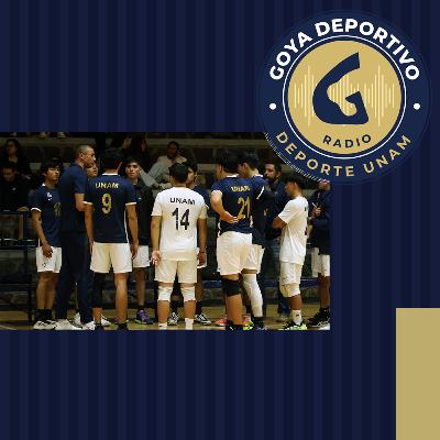 Goya Deportivo: Finales interprepas de Baloncesto y Voleibol 2026 Goya Deportivo: Finales interprepas de Baloncesto y Voleibol 2026