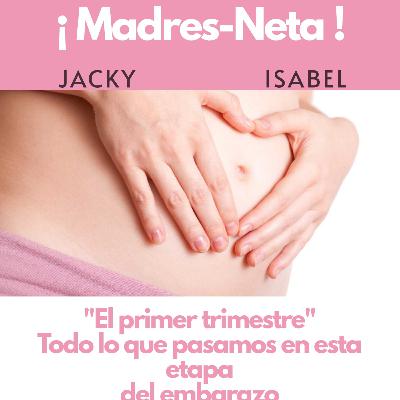 "El primer trimestre del embarazo" "El primer trimestre del embarazo"