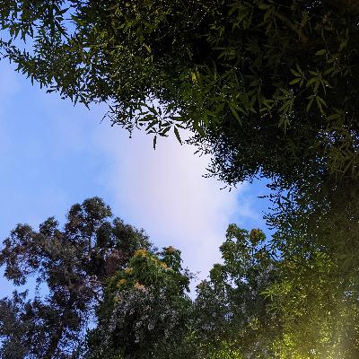Somatic Mindful Meditation: Finding Ease and Support