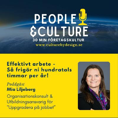 Effektivt arbete - Så frigör ni hundratals timmar per år! Effektivt arbete - Så frigör ni hundratals timmar per år!