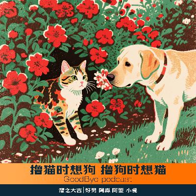 【43】撸猫时想狗，撸狗时想猫