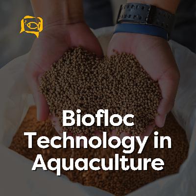 Biofloc Technology in Aquaculture | Ep. 10