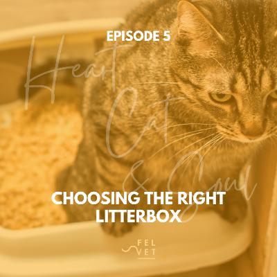 EPISODE 5: Choosing the Right Litterbox