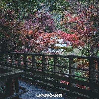 Ai não pod #1 Ai não pod #1