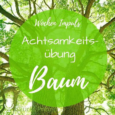 Dein Wochen Impuls " 🌞Achtsamkeitsübung mit Deinem Begleiter, 🌳dem Baum🌳 "