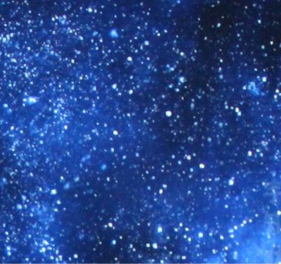 夕星/nisai(オリジナル曲)photo:ぺいちゃん from Radiotalk 夕星/nisai(オリジナル曲)photo:ぺいちゃん from Radiotalk