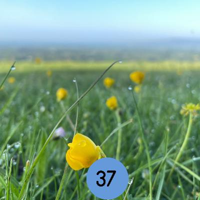 37: Reigate’s Summer Festival, Reigate's Lawn Tennis, Merstham’s ‘community’ acupuncture... and more.