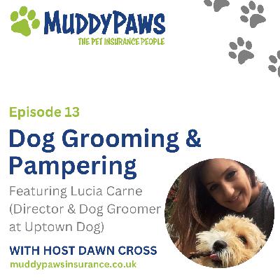 Dog Grooming & Pampering