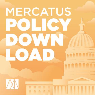 Antitrust Policy and its Different Perspectives
