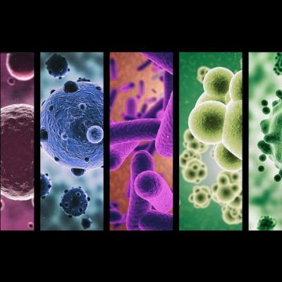 Historia de la microbiología