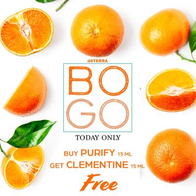 Purify and Clementine Purify and Clementine