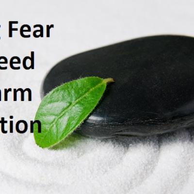 Fear and The Harm Reduction - Abuse Survivors Fear and The Harm Reduction - Abuse Survivors