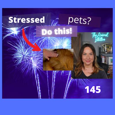 3 Calming Pet Acupressure Points + My Secret Animal Connection Tip | 146