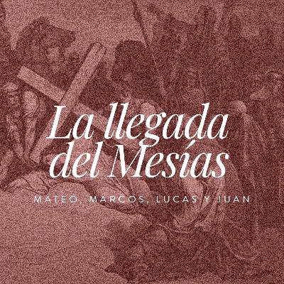 Día 319 | Lucas 24; Juan 20 - 21