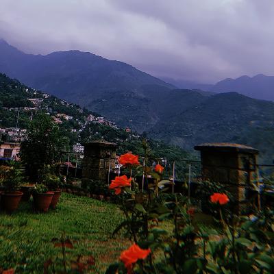 Poetry Fever  (Trailer)