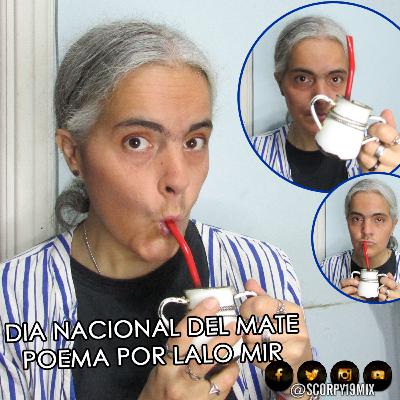 37 - Dia Nacional del Mate - Te leo un poema de Lalo Mir.