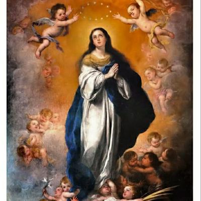Episodio 28 Maria, Madre de Dios- Inmaculada Concepción