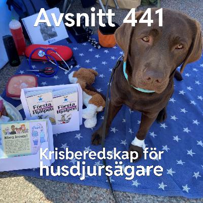 441. Krisberedskap för husdjursägare
