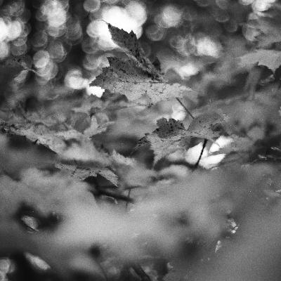 10. Eutanasia y enfermedad mental (3º de 3), últimas novedades en Mayo 2023