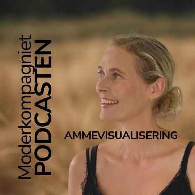 Ammevisualisering