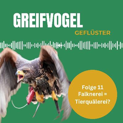 Ist Falknerei Tierquälerei?