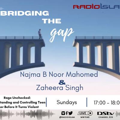 Bridging the Gap - Rage Unchecked: Understanding and Controlling Teen Anger Before It Turns Violent