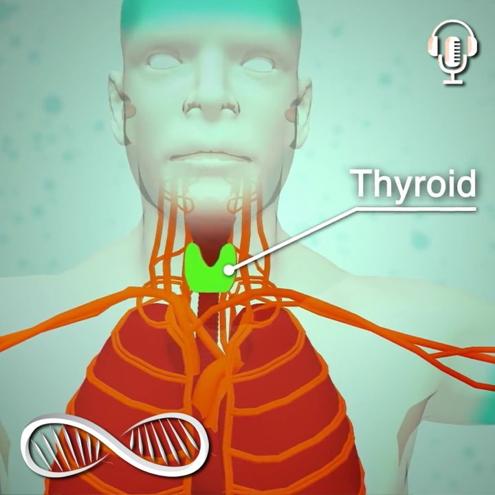 After a nuclear event, this $11 Bio-Prepping measure will 100X in value...