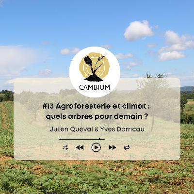 #13 - Agroforesterie et climat : quels arbres pour demain ?