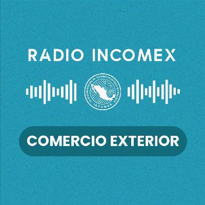 94. El SAT ya revisa el Apartado C del Anexo 24