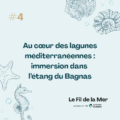 #4 Au cœur des lagunes méditerranéennes : immersion dans l’étang du Bagnas