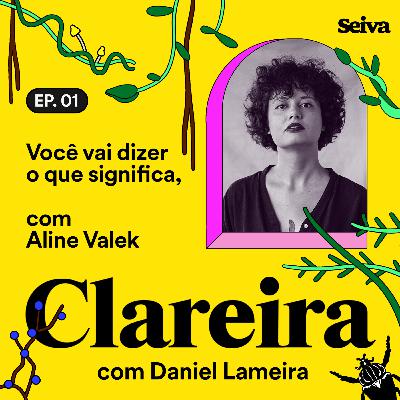 Você vai dizer o que significa, com Aline Valek #01