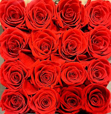 #229 : Soulful, Vocal, Disco Magic - 23rd October, 2025 #229 : Soulful, Vocal, Disco Magic - 23rd October, 2025