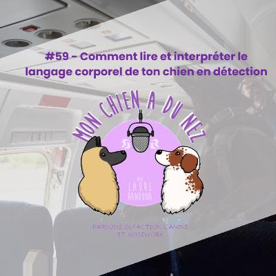 #59 - Comment lire et interpréter le langage corporel de ton chien en détection