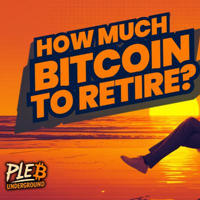How Much Bitcoin To Retire?