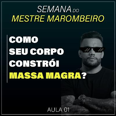 Como funciona o GANHO de MASSA MUSCULAR?