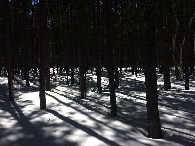 Episode 1: Welcome to the State of Superior