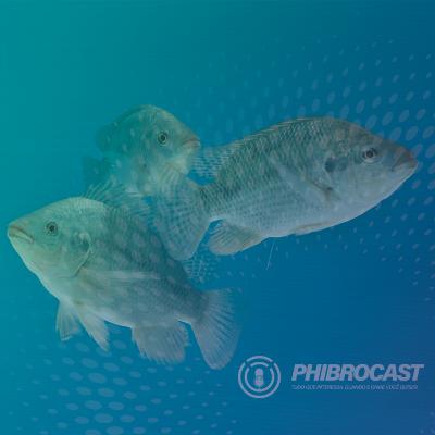 PhibroCast - Episódio 8: Monitoramento, prevenção e controle da franciselose