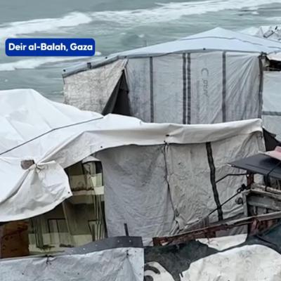 Update from Deir Al Balah, Gaza: Zainab Hamad Update from Deir Al Balah, Gaza: Zainab Hamad