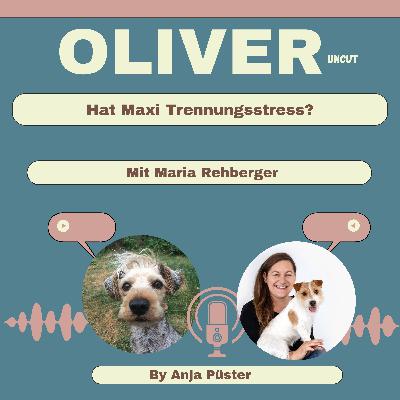 Hat Maxi Trennungsstress?